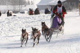 Lenk 2012 SM